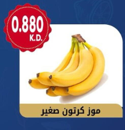 موز available at جمعية هدية التعاونية in الكويت - محافظة الأحمدي