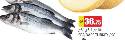 الأسماك الطازجة in جراند هايبرماركت, قطر Offers - قطر available at جراند هايبرماركت in قطر - الشحانية