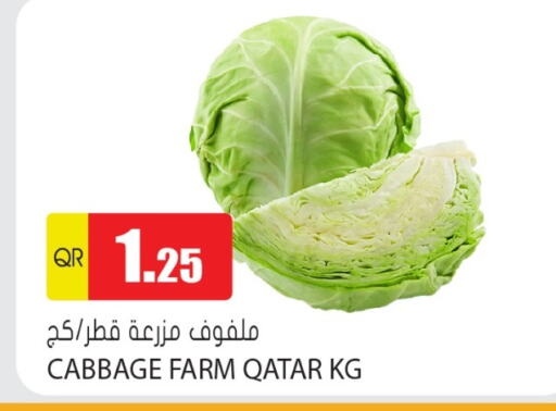 Cabbage from Qatar available at Grand Hypermarket in Qatar - Al Daayen