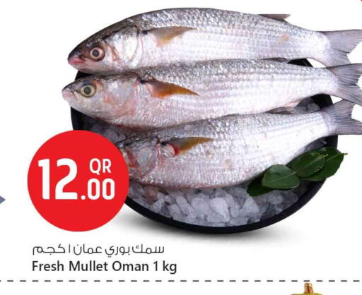 available at Safari Hypermarket in Qatar - Al Daayen