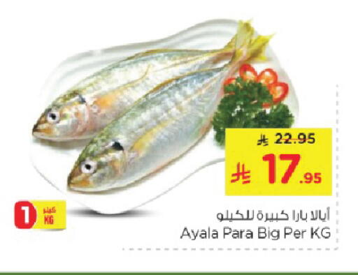 Fresh Fish in Nesto, Saudi Arabia Offers - Saudi Arabia available at Nesto in KSA, Saudi Arabia, Saudi - Al Hasa
