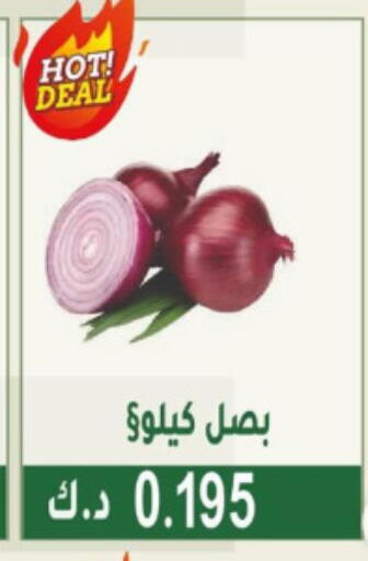 Onion available at Granada Co-operative Association in Kuwait - Jahra Governorate