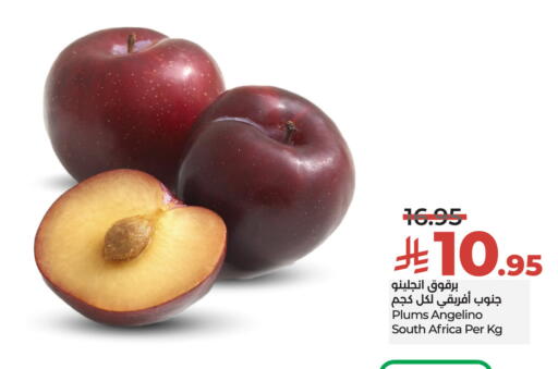 Plums from South Africa available at لولو هايبرماركت in مملكة العربية السعودية, السعودية, سعودية - حائل‎