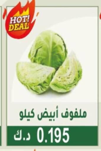 Fresh Vegetables in Granada Co-operative Association, Kuwait Offers - Kuwait Cabbage available at Granada Co-operative Association in Kuwait - Jahra Governorate
