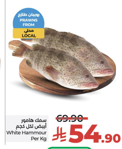 available at لولو هايبرماركت in مملكة العربية السعودية, السعودية, سعودية - حائل‎