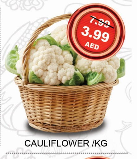 الخضروات الطازجة in ليبتس هايبرماركت, UAE Offers - الإمارات العربية المتحدة Cauliflower available at ليبتس هايبرماركت in الإمارات العربية المتحدة , الامارات - رَأْس ٱلْخَيْمَة