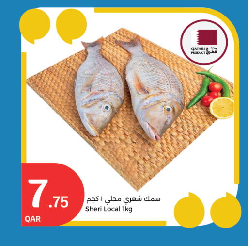 available at City Hypermarket in Qatar - Al Daayen