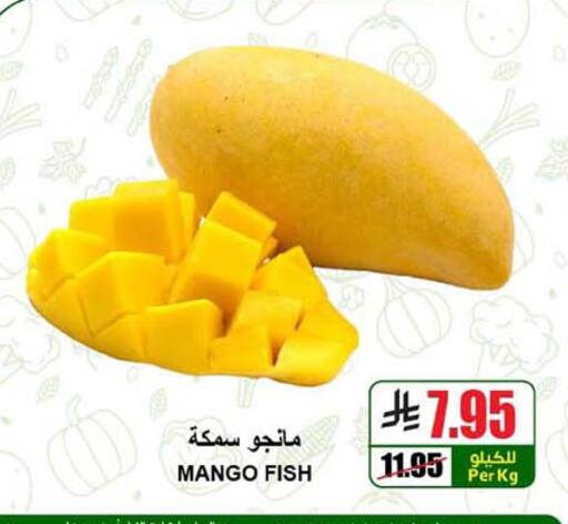 Mangoes available at A Market in KSA, Saudi Arabia, Saudi - Riyadh