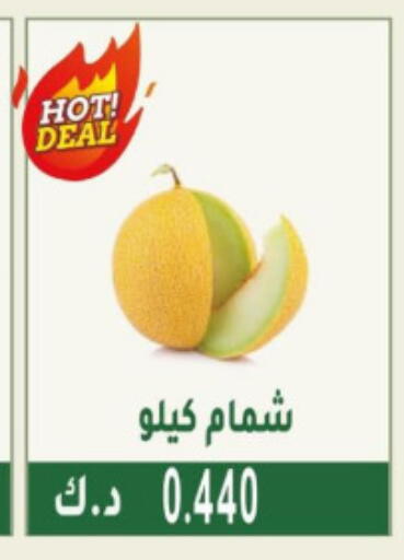 Sweet melon available at Granada Co-operative Association in Kuwait - Jahra Governorate