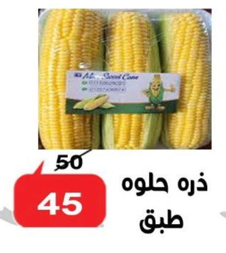 available at الدنيا بخير in Egypt - القاهرة