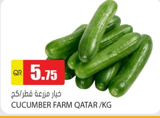 الخضروات الطازجة in جراند هايبرماركت, قطر Offers - قطر Cucumber from Qatar available at جراند هايبرماركت in قطر - الشحانية
