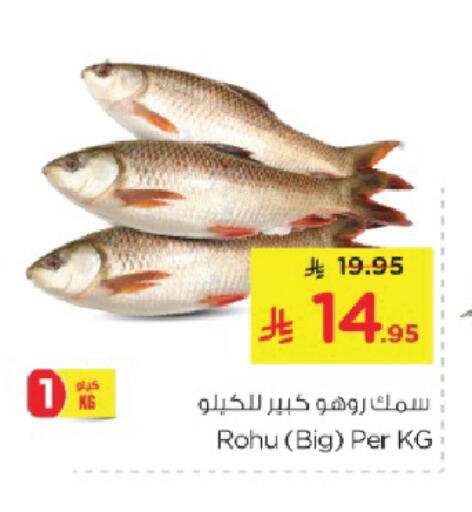 available at نستو in مملكة العربية السعودية, السعودية, سعودية - الخبر‎