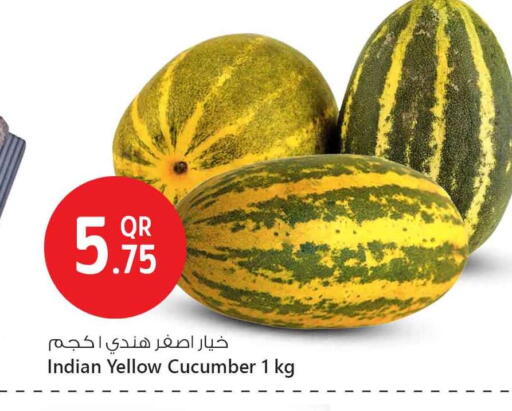 الخضروات الطازجة in سفاري هايبر ماركت, قطر Offers - قطر Cucumber from India available at سفاري هايبر ماركت in قطر - الخور