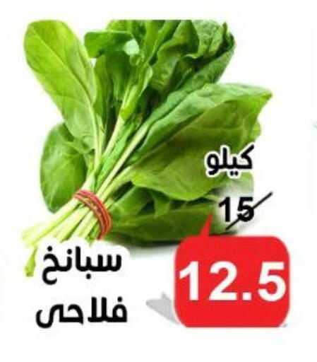 available at الدنيا بخير in Egypt - القاهرة