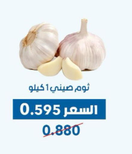 ثوم available at جمعية ضاحية عبدالله السالم والمنصورية التعاونية in الكويت - محافظة الجهراء