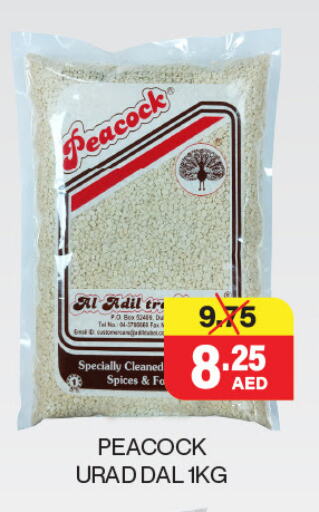 Salts, Spices & Paste in Adil Supermarket, UAE Offers - United Arab Emirates available at Adil Supermarket in UAE - Abu Dhabi
