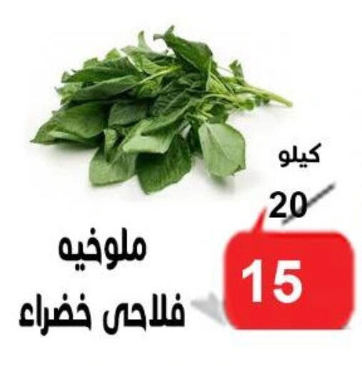 available at الدنيا بخير in Egypt - القاهرة