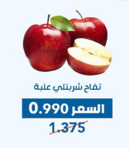 تفاح available at جمعية ضاحية عبدالله السالم والمنصورية التعاونية in الكويت - محافظة الجهراء