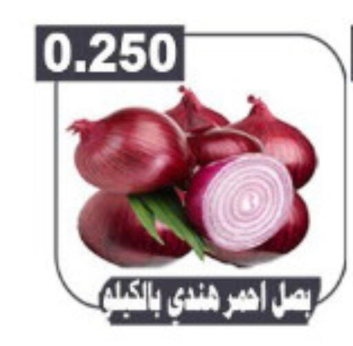 بصل available at جمعية ضاحية علي صباح السالم التعاونية in الكويت - محافظة الأحمدي