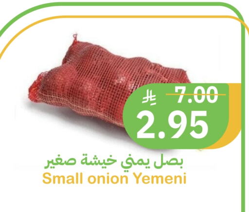 Onion from Yemen available at أسواق قاطبة in مملكة العربية السعودية, السعودية, سعودية - بريدة