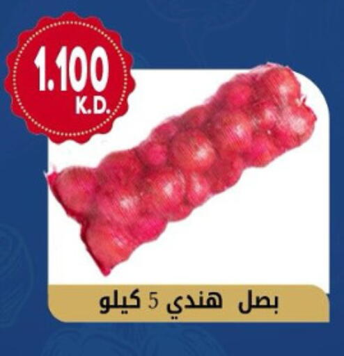 بصل available at جمعية هدية التعاونية in الكويت - محافظة الأحمدي