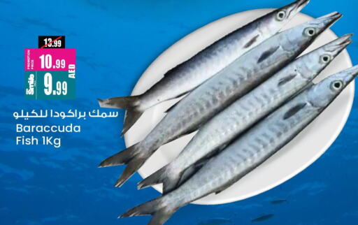 available at Ansar Gallery in UAE - Dubai
