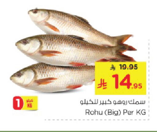 Fresh Fish in Nesto, Saudi Arabia Offers - Saudi Arabia available at Nesto in KSA, Saudi Arabia, Saudi - Al Hasa