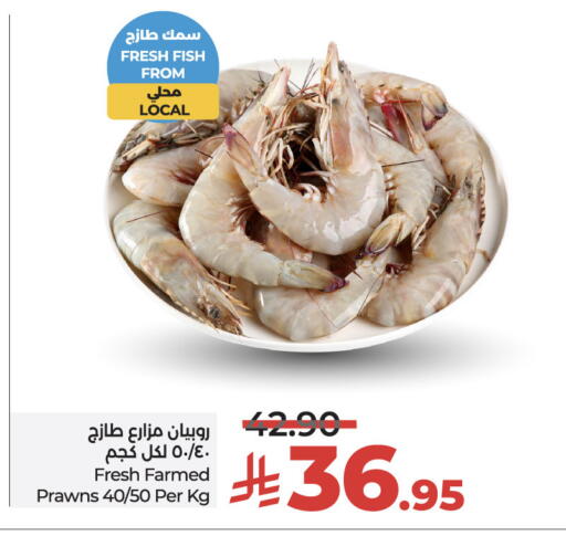 available at لولو هايبرماركت in مملكة العربية السعودية, السعودية, سعودية - حائل‎