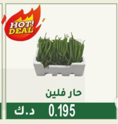 available at Granada Co-operative Association in Kuwait - Jahra Governorate