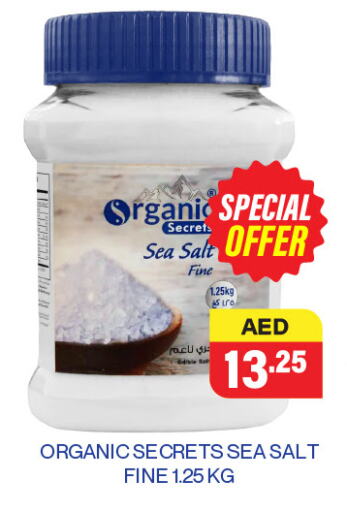 Salts, Spices & Paste in Adil Supermarket, UAE Offers - United Arab Emirates Salt available at Adil Supermarket in UAE - Abu Dhabi