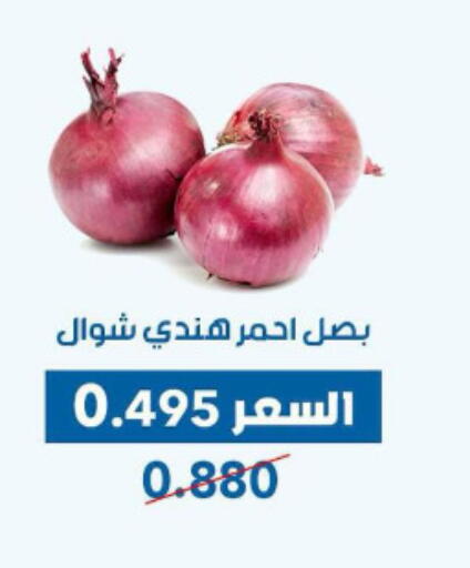 بصل available at جمعية ضاحية عبدالله السالم والمنصورية التعاونية in الكويت - محافظة الأحمدي