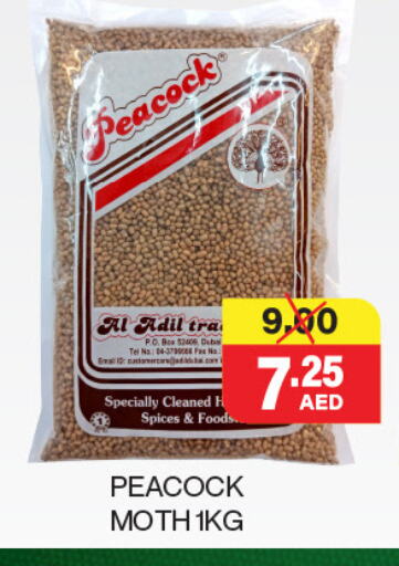 Salts, Spices & Paste in Adil Supermarket, UAE Offers - United Arab Emirates available at Adil Supermarket in UAE - Abu Dhabi