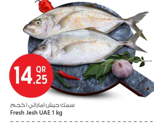 available at Safari Hypermarket in Qatar - Al Daayen