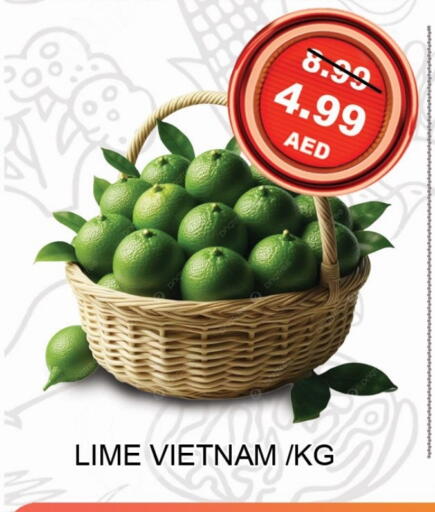 الخضروات الطازجة in ليبتس هايبرماركت, UAE Offers - الإمارات العربية المتحدة from Vietnam available at ليبتس هايبرماركت in الإمارات العربية المتحدة , الامارات - رَأْس ٱلْخَيْمَة