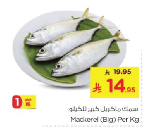 Fresh Fish in Nesto, Saudi Arabia Offers - Saudi Arabia available at Nesto in KSA, Saudi Arabia, Saudi - Al Hasa