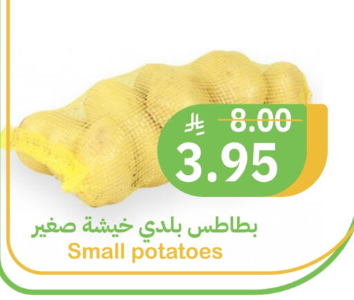 available at Qateba Markets in KSA, Saudi Arabia, Saudi - Buraidah