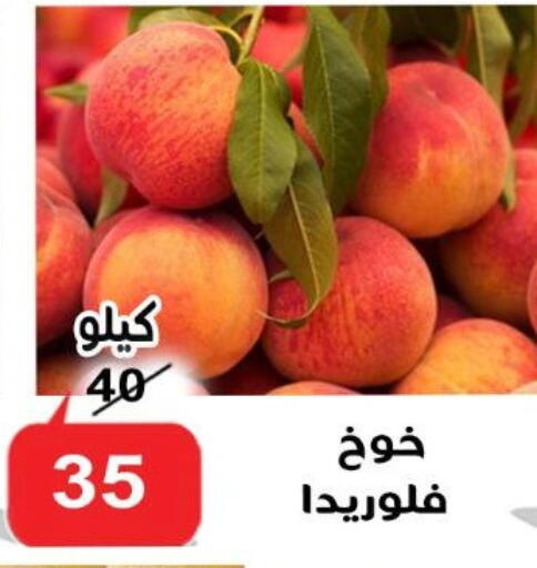 خوخ available at الدنيا بخير in Egypt - القاهرة