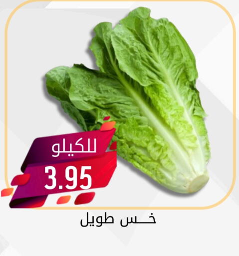 available at Joule Market in KSA, Saudi Arabia, Saudi - Al Khobar