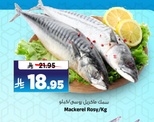 الأسماك الطازجة in المدينة هايبرماركت, المملكة العربية السعودية Offers - المملكة العربية السعودية available at المدينة هايبرماركت in مملكة العربية السعودية, السعودية, سعودية - الرياض