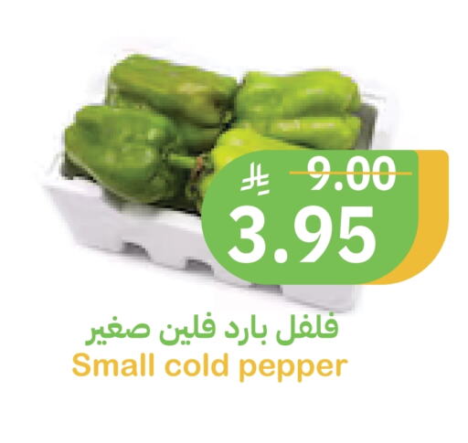 الخضروات الطازجة in أسواق قاطبة, المملكة العربية السعودية Offers - المملكة العربية السعودية فلفل / فليفلة available at أسواق قاطبة in مملكة العربية السعودية, السعودية, سعودية - بريدة