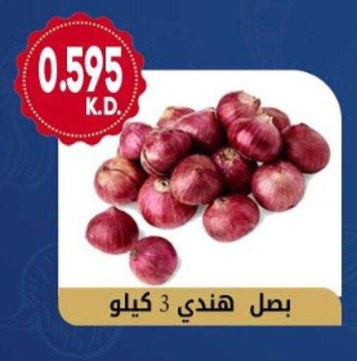 بصل available at جمعية هدية التعاونية in الكويت - محافظة الأحمدي