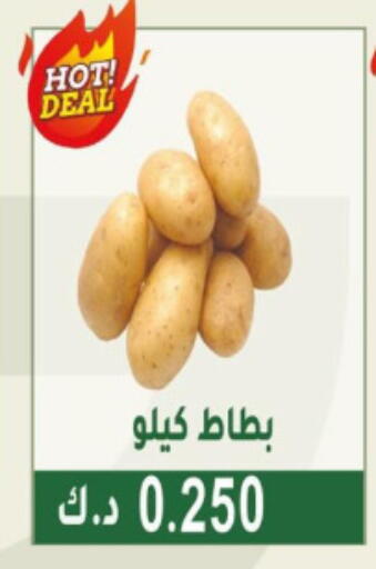 Fresh Vegetables in Granada Co-operative Association, Kuwait Offers - Kuwait available at Granada Co-operative Association in Kuwait - Jahra Governorate