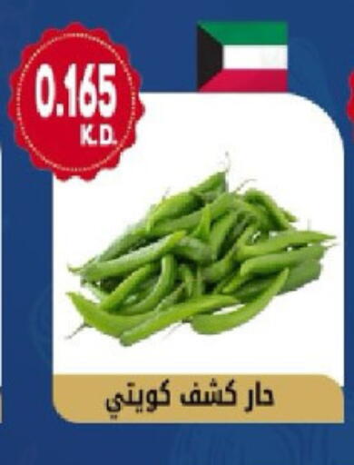 available at جمعية هدية التعاونية in الكويت - محافظة الأحمدي
