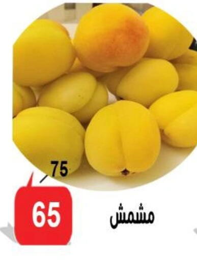 available at الدنيا بخير in Egypt - القاهرة