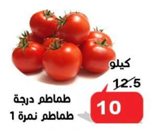 Tomato available at Aldoneia Bkheir ismailia  in Egypt - Cairo