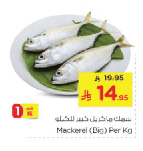 available at نستو in مملكة العربية السعودية, السعودية, سعودية - الخبر‎