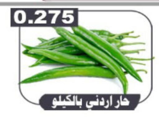 available at جمعية ضاحية علي صباح السالم التعاونية in الكويت - محافظة الأحمدي