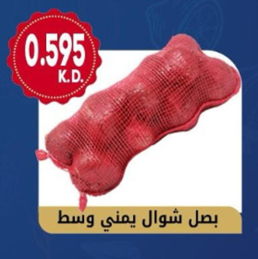 بصل available at جمعية هدية التعاونية in الكويت - محافظة الأحمدي