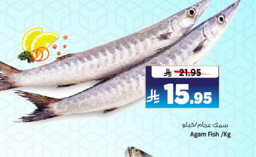 الأسماك الطازجة in المدينة هايبرماركت, المملكة العربية السعودية Offers - المملكة العربية السعودية available at المدينة هايبرماركت in مملكة العربية السعودية, السعودية, سعودية - الرياض