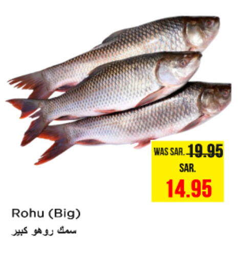 available at نستو in مملكة العربية السعودية, السعودية, سعودية - بريدة